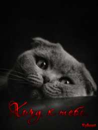 Открытки хочу к тебе Анимационные открытки хочу к тебе. Мерцающие картинки хочу к тебе.