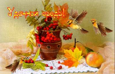 Открытки на среду Открытки с пожеланиями отличной среды. Красивые открытки на среду.