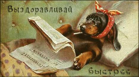 Открытки скорейшего выздоровления Открытки скорейшего выздоровления скачать бесплатно в формате gif.