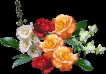 Открытки с цветами Красивые анимационные открытки с цветами на любой вкус бесплатно.