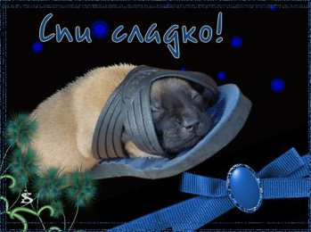 Открытки с пожеланиями на ночь Гифки с пожеланиями на ночь. Открытки с пожеланиями спокойной ночи