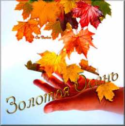 Открытки Золотая Осень  Чудесные открытки на тему Золотая Осень скачать бесплатно gif.