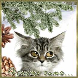 Открытки с первым днем зимы Мерцающие анимационные открытки с пожеланиями на первый день зимы