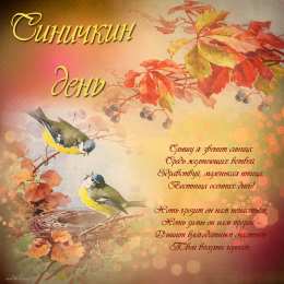 Открытки на Синичкин день Красивые анимационные открытки на Синичкин день скачать бесплатно.