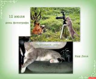 Открытки с днем фотографа Поздравительные открытки с днем фотографа скачать бесплатно.