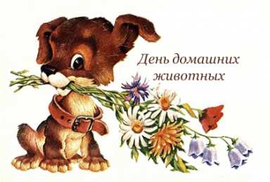 Открытки на Всемирный день домашних животных Добрые открытки на Всемирный день домашних животных скачать бесплатно.