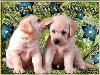 Открытки давай дружить Красивые анимационные открытки давай дружить скачать бесплатно.