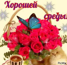 Открытки на среду Открытки с пожеланиями отличной среды. Красивые открытки на среду.