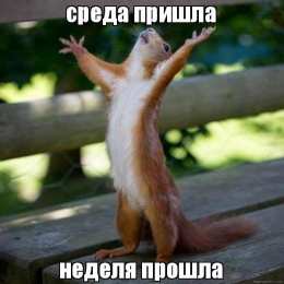 Открытки на среду Открытки с пожеланиями отличной среды. Красивые открытки на среду.