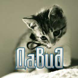 Открытки с именем Давид Открытки с именем Давид скачать бесплатно. Открытки с именем Давид gif.