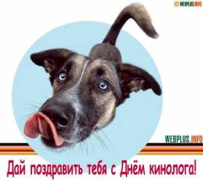 Открытки с днем кинолога Открытки с пожеланиями на день кинолога скачать бесплатно.    