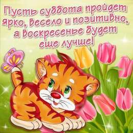 Открытки на субботу Интересные открытки на субботу. Веселые открытки на выходные.