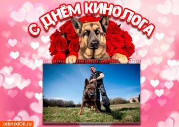 Открытки с днем кинолога Открытки с пожеланиями на день кинолога скачать бесплатно.    