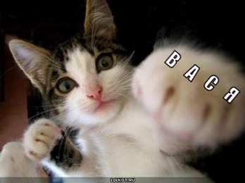 Открытки с именем Василий Анимационные открытки с именем Василий. Открытки с днём рождения Вася.