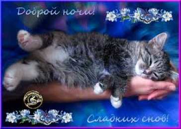 Открытки с пожеланиями на ночь Гифки с пожеланиями на ночь. Открытки с пожеланиями спокойной ночи