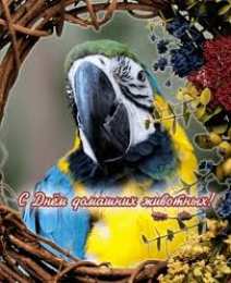 Открытки на Всемирный день домашних животных Добрые открытки на Всемирный день домашних животных скачать бесплатно.