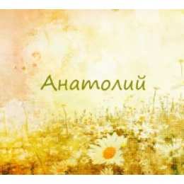 Открытки Открытки с именем Анатолий Картинки с именем Анатолий скачать бесплатно. Открытки с именем Толик. Анимационные открытки с именем Анатолий. Картинки с именем Анатолий скачать бесплатно. Открытки с приколами на имя Толик. Открытки с именем Толик скачать бесплатно.