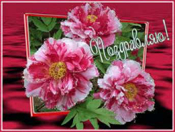 Открытки поздравляю Открытки поздравляю gif. Картинки с поздравлениями на день рождения. 