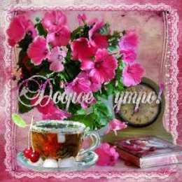 Открытки Открытки с добрым утром Открытка с пожеланиями доброго утра на каждый день скачать бесплатно  Открытки доброе утро скачать бесплатно. Анимационные картинки с пожеланиями удачного утра. Хорошего начала дня открытки gif. Открытки для вотсапа с добрым утром. Открытка с пожеланиями доброго утра на каждый день.