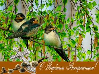 Открытки с Вербным Воскресеньем Поздравительные открытки с Вербным Воскресеньем скачать бесплатно.