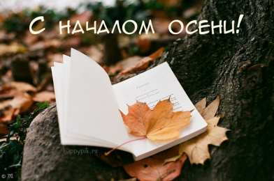 Открытки с первым днем осени Красивые анимационные открытки на первый день осени скачать бесплатно