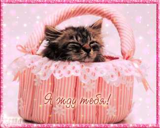 Открытки жду тебя Открытки я жду тебя gif. Открытки возвращайся скорее скачать бесплатно.