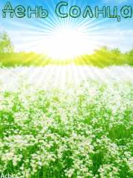 Открытки с днем солнца Открытки с днем солнца скачать бесплатно. Поздравление с днем солнца.