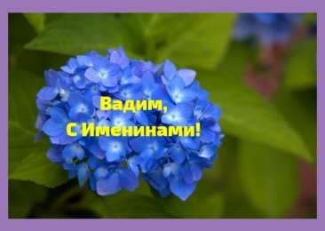 Открытки Открытки с именем Вадим Открытки с мужскими именами. Поздравительные открытки с именем Вадим. Открытки с днем рождения Вадим. Открытки с именем Вадим скачать бесплатно. Именные открытки gif. Открытки с именами гиф. Поздравительные открытки с именем Вадим.