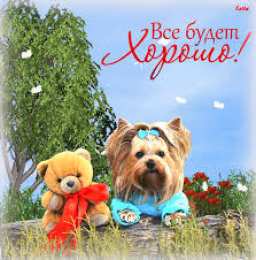 Открытки все будет хорошо Веселые открытки с пожеланиями все будет хорошо скачать бесплатно.