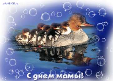Открытки Открытки с днем матери Поздравление с днем матери. Открытки на день матери скачать бесплатно. Поздравительные открытки для мамы. Красивые открытки с днем матери. Открытки на день матери скачать бесплатно. Анимационные открытки на праздники. Открытки на день матери.