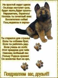 Открытки с днем кинолога Открытки с пожеланиями на день кинолога скачать бесплатно.    