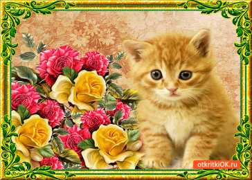 Открытки все будет хорошо Веселые открытки с пожеланиями все будет хорошо скачать бесплатно.