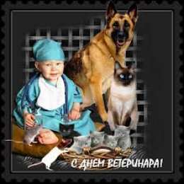 Открытки с днем ветеринара Поздравительные открытки с днем ветеринара скачать бесплатно.