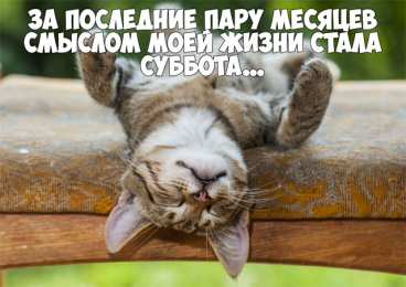 Открытки на субботу Интересные открытки на субботу. Веселые открытки на выходные.