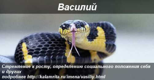Открытки с именем Василий Анимационные открытки с именем Василий. Открытки с днём рождения Вася.