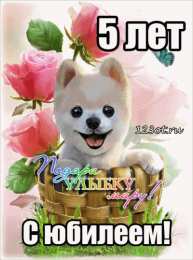 Открытки на 5 лет Открытки с юбилеем для ребенка. Поздравительные открытки на 5 лет. 