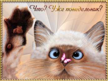 Открытки на понедельник Открытки с пожеланиями легкого понедельника скачать бесплатно.