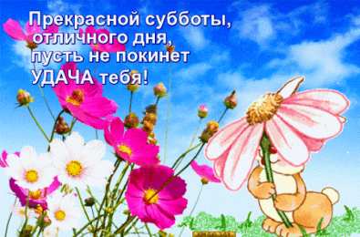 Открытки на субботу Интересные открытки на субботу. Веселые открытки на выходные.