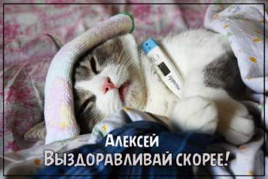 Открытки с именем Алексей Открытки с именем Алексей скачать бесплатно. Открытки с именем Леша.