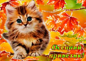 Открытки с первым днем осени Красивые анимационные открытки на первый день осени скачать бесплатно