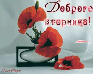 Открытки Открытки на вторник Позитивные открытки на вторник. Картинки про вторник скачать бесплатно. Открытки с надписью самого лучшего вторника. Желаю отличного вторника открытки. Пожелания на вторник скачать бесплатно. Анимационные картинки легкого рабочего вторника.