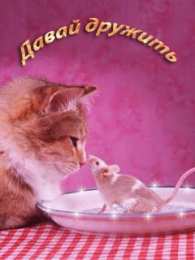 Открытки давай дружить Красивые анимационные открытки давай дружить скачать бесплатно.