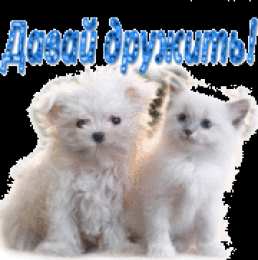 Открытки давай дружить Красивые анимационные открытки давай дружить скачать бесплатно.