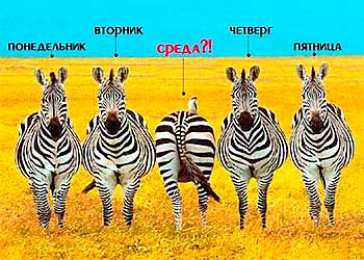 Открытки на среду Открытки с пожеланиями отличной среды. Красивые открытки на среду.