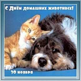 Открытки на Всемирный день домашних животных Добрые открытки на Всемирный день домашних животных скачать бесплатно.