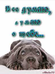 Открытки думаю о тебе Анимационные открытки с признаниями. Открытки думаю о тебе gif.