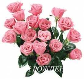 Открытки с цветами Красивые анимационные открытки с цветами на любой вкус бесплатно.