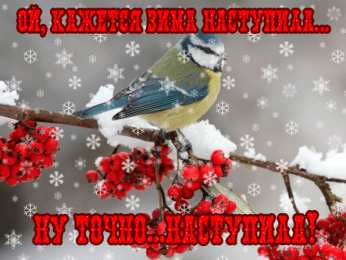 Открытки с первым днем зимы Мерцающие анимационные открытки с пожеланиями на первый день зимы