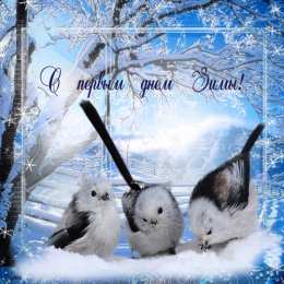 Открытки с первым днем зимы Мерцающие анимационные открытки с пожеланиями на первый день зимы