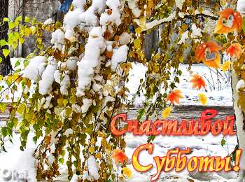 Открытки на субботу Интересные открытки на субботу. Веселые открытки на выходные. 